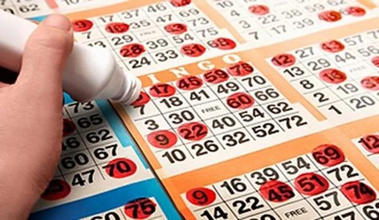 Bingo Association CEO