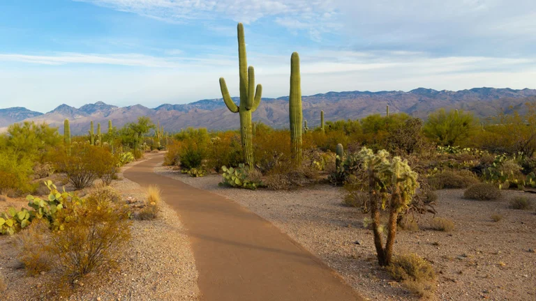 Arizona