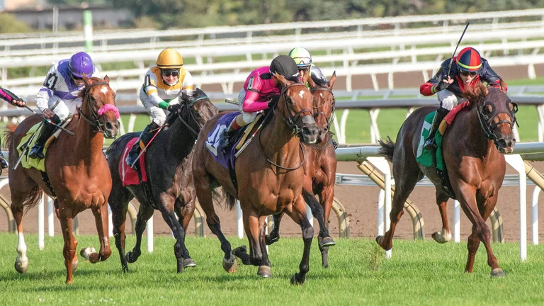 Horse racing as electronic table games are secured