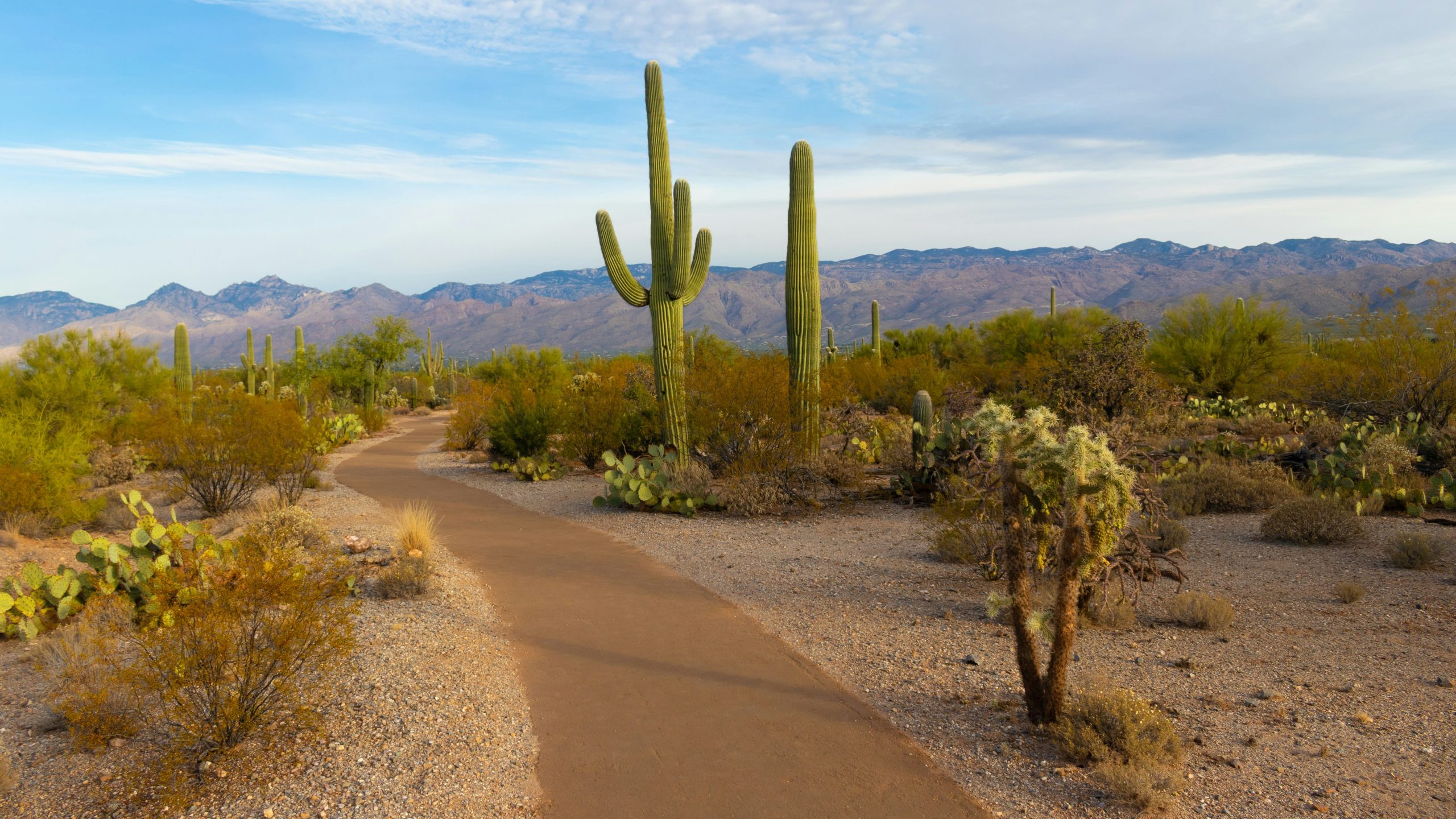 Arizona